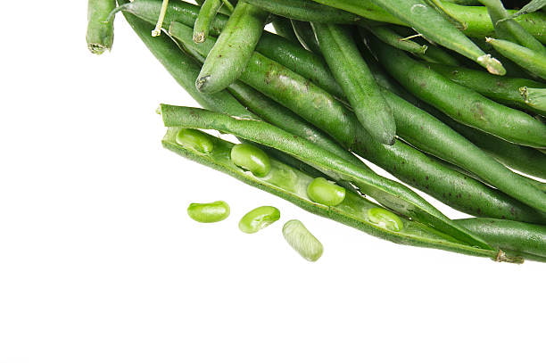 تصویر 3 از قیمت خرید لوبیا سبز نیمه آماده ارگانیک + فروش ویژه